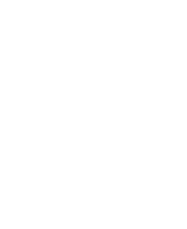 Devil ANTHEM. 雲外蒼天 ロゴ